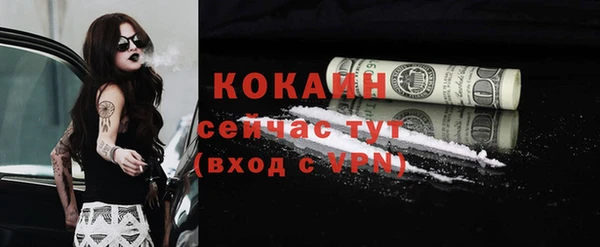 круглые Тайга