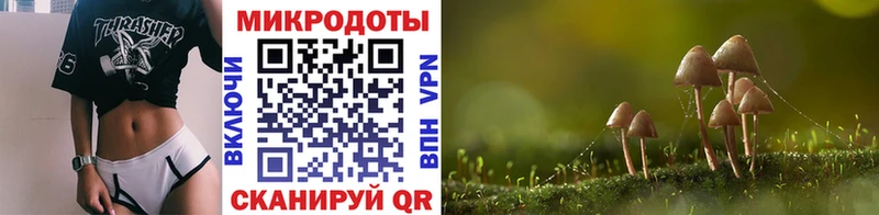 Купить где  Анжеро-Судженск  Галлюциногенные грибы мухоморы 